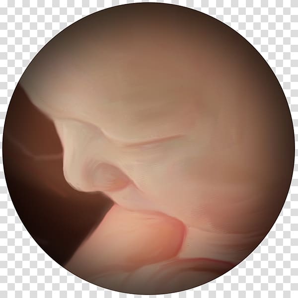 Thumb Close-up, others transparent background PNG clipart Thumb Close-up, others transparent background PNG clipart