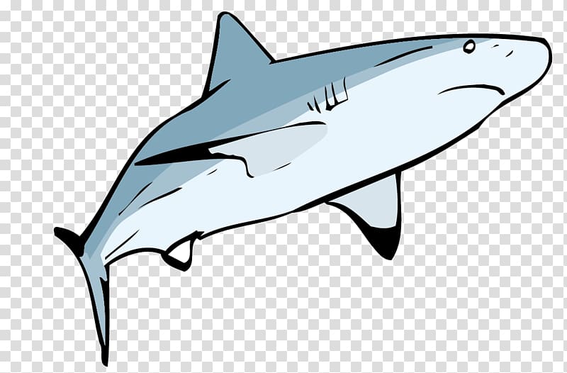 Requiem shark , Shark material transparent background PNG clipart