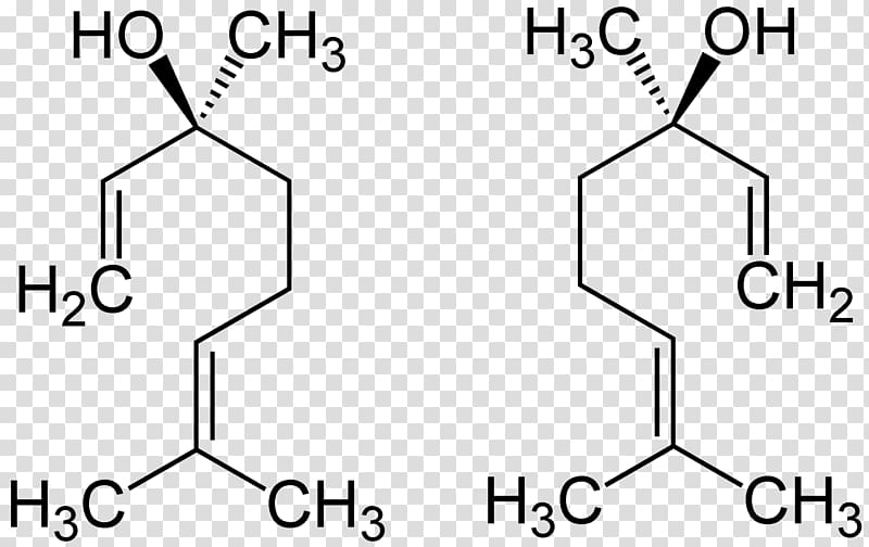 R-linalool synthase English lavender Bay Laurel Basil, others transparent background PNG clipart