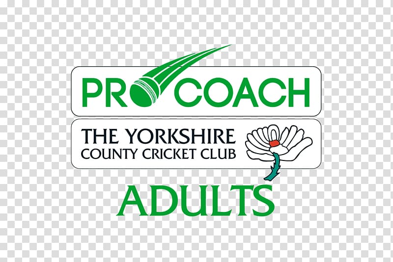 Yorkshire County Cricket Club Pro Coach Cricket Academy Wicket, cricket transparent background PNG clipart