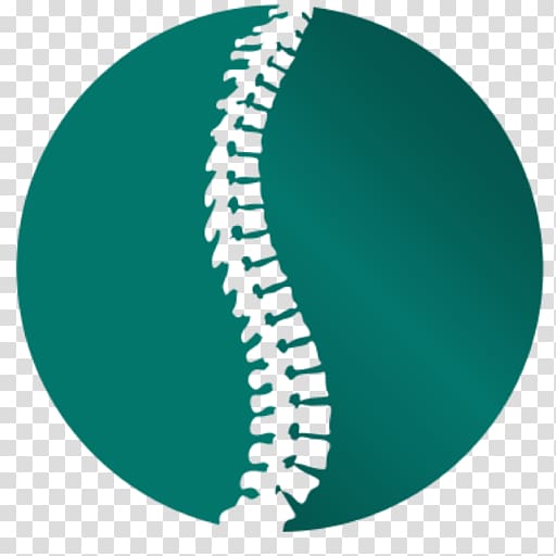 Chiropractic Vertebral column Scoliosis Health Care Sports injury, Scoliosis transparent background PNG clipart