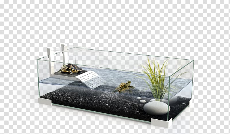 Turtle Reptile Aquarium Terrarium Terrapin, rack transparent background PNG clipart