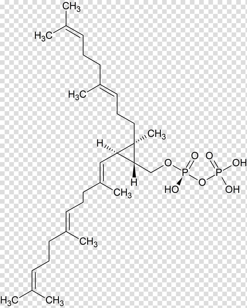 {(1R,2R,3R)-2-[(3E)-4,8-dimethylnona-3,7-dien-1-yl]-2-methyl-3-[(1E,5E)-2,6,10-trimethylundeca-1,5,9-trien-1-yl]cyclopropyl}methyl trihydrogen diphosphate Farnesyl pyrophosphate Lanosterol Squalene, others transparent background PNG clipart