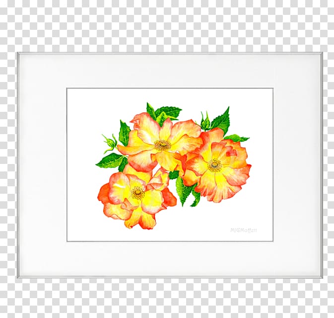 Floral design Cut flowers Frames Petal Pattern, Mary Jane transparent background PNG clipart