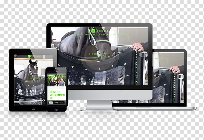 Responsive web design Steinstark Rheine Münsterland Referenzen, Consensus transparent background PNG clipart