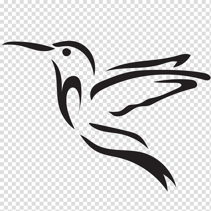 Beak Endangered species Water bird Phaistos, others transparent background PNG clipart