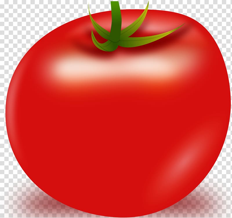 Cherry tomato San Marzano tomato , Tomato transparent background PNG clipart
