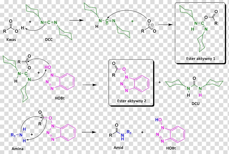 Hydroxybenzotriazole Amide Peptide synthesis Chemical synthesis Peptide bond, others transparent background PNG clipart