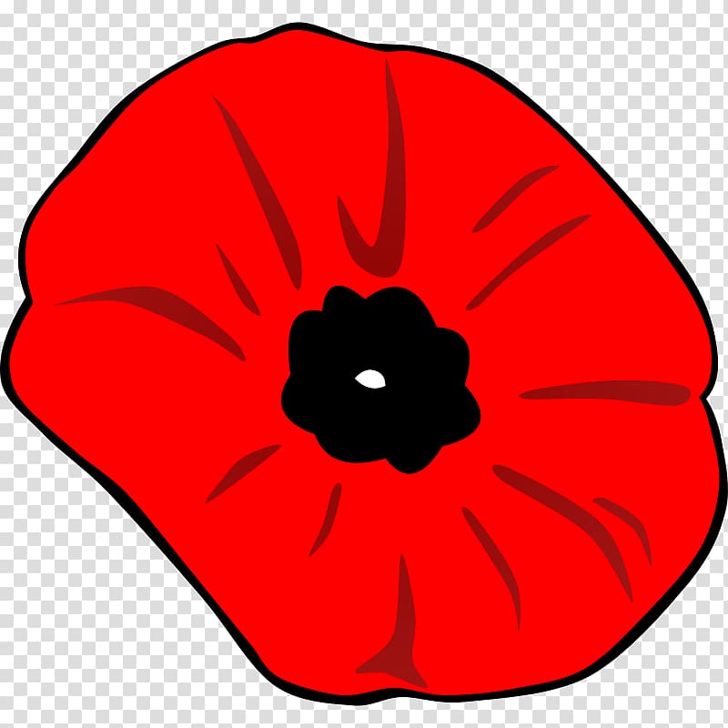 Remembrance poppy , poppy transparent background PNG clipart