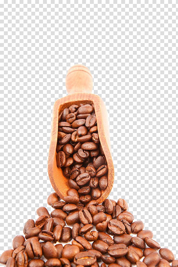 Jamaican Blue Mountain Coffee Tea Coffee bean Caffeine, coffee transparent background PNG clipart