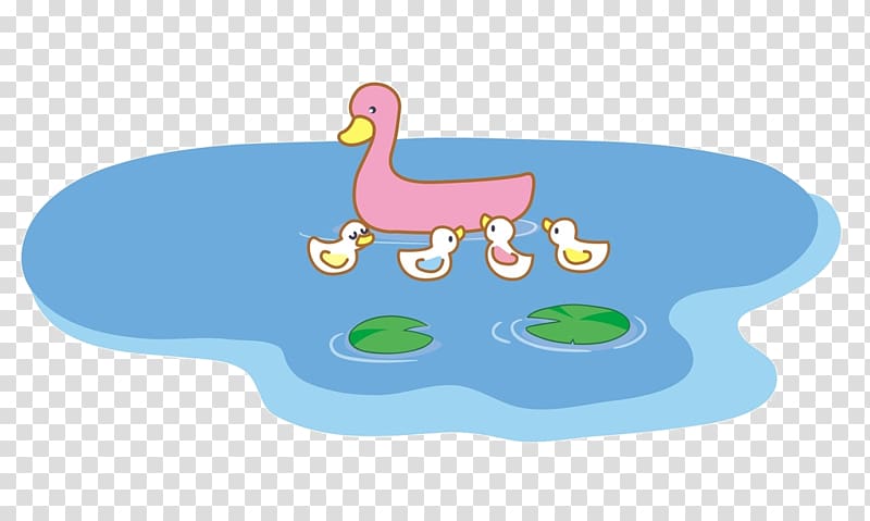 Duck Farm , Little ducks play water transparent background PNG clipart