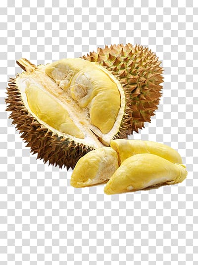 durian transparent background PNG clipart