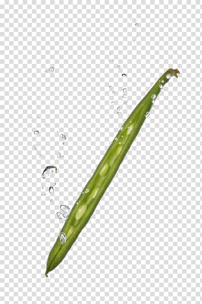 Water Pea Vegetable Green bean, Green peas transparent background PNG clipart