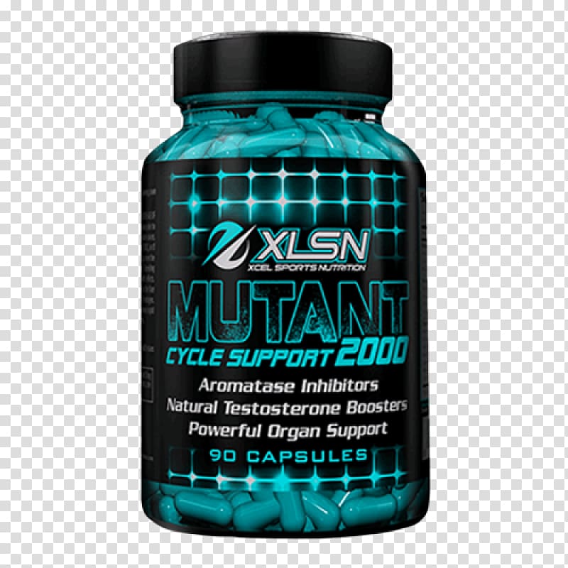 Dietary supplement Sports nutrition Bodybuilding supplement, others transparent background PNG clipart