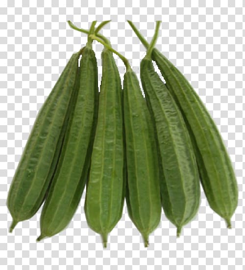 Luffa acutangula Gourd Vegetable Rajma Cucurbitaceae, vegetable transparent background PNG clipart