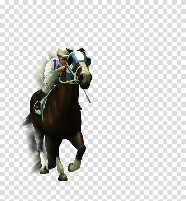 Horse racing Jockey Sports betting Gambling, horse racing transparent background PNG clipart