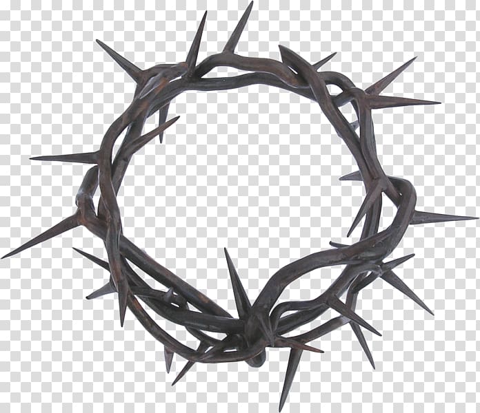 Crown of thorns Thorns, spines, and prickles , others transparent background PNG clipart