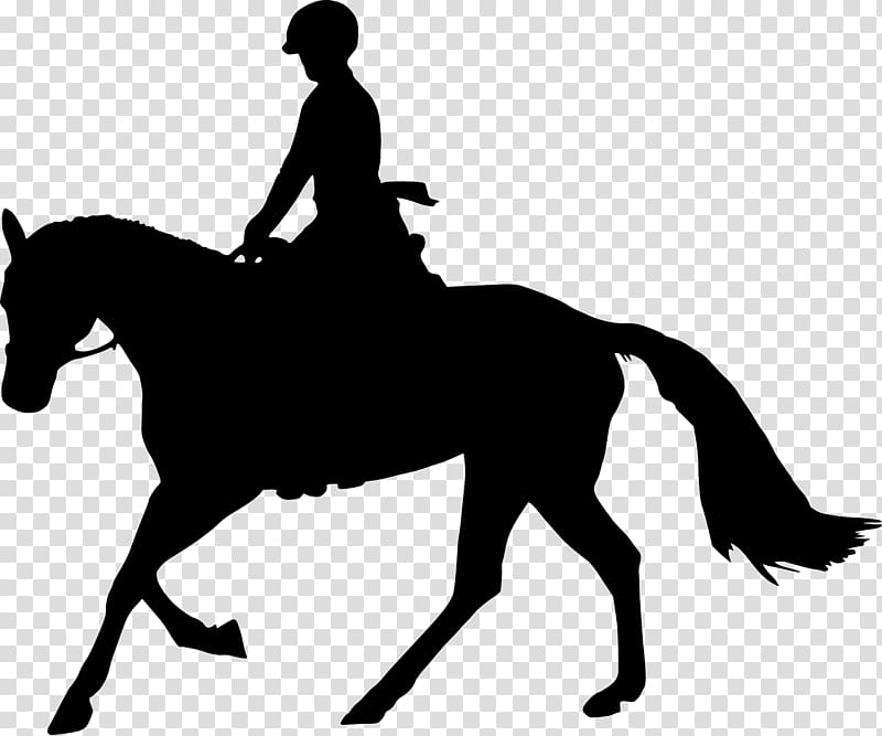 Horse Equestrian Silhouette , man silhouette transparent background PNG clipart