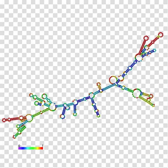 Messenger RNA Base pair Transfer RNA Post-transcriptional modification, others transparent background PNG clipart