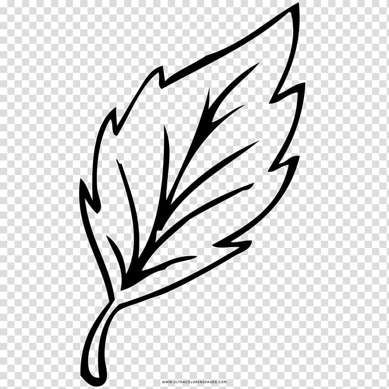 Drawing Coloring book Black and white Leaf Line art, Leaf transparent background PNG clipart