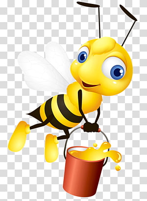 Western honey bee transparent background PNG cliparts free