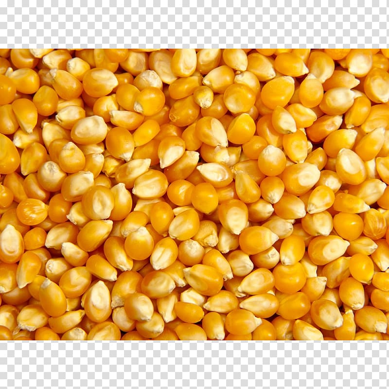 Popcorn Sweet corn Maize Cereal Food, popcorn transparent background PNG clipart