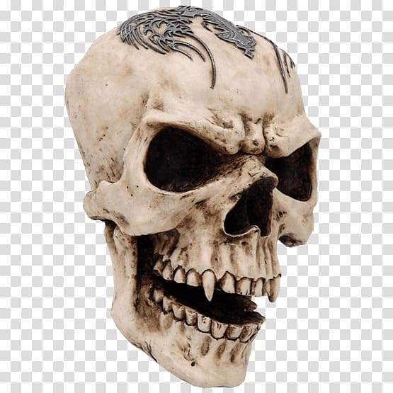 Human skull symbolism Human skeleton Vampire, skull transparent background PNG clipart