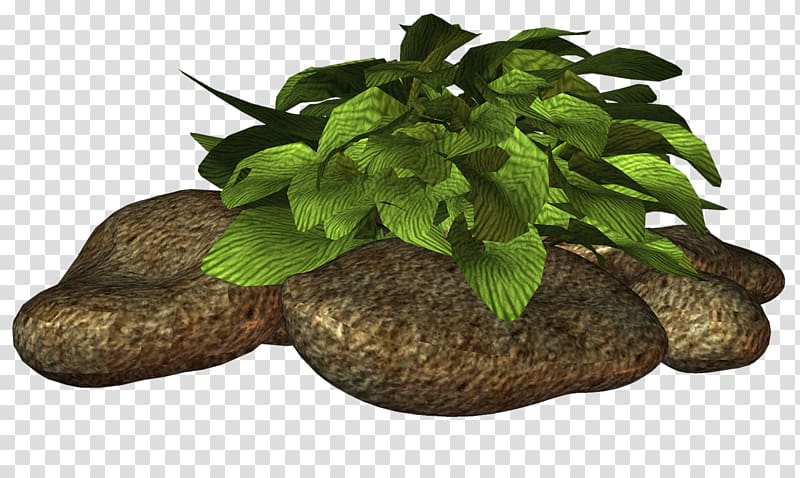 Herb Flowerpot Tree, tree transparent background PNG clipart