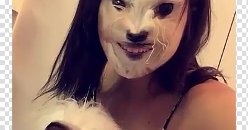 Dog Pet Snapchat Blond, Dog transparent background PNG clipart