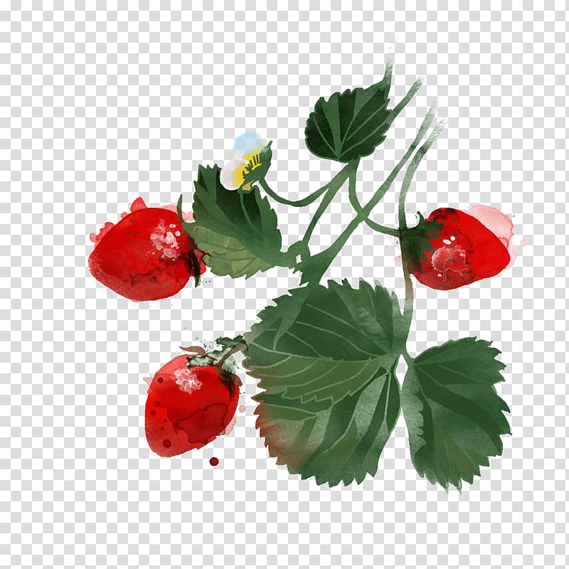 Berry Watercolor painting Drawing Illustration, Hand-painted strawberry transparent background PNG clipart