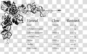 Line Angle White Font, line transparent background PNG clipart thumbnail