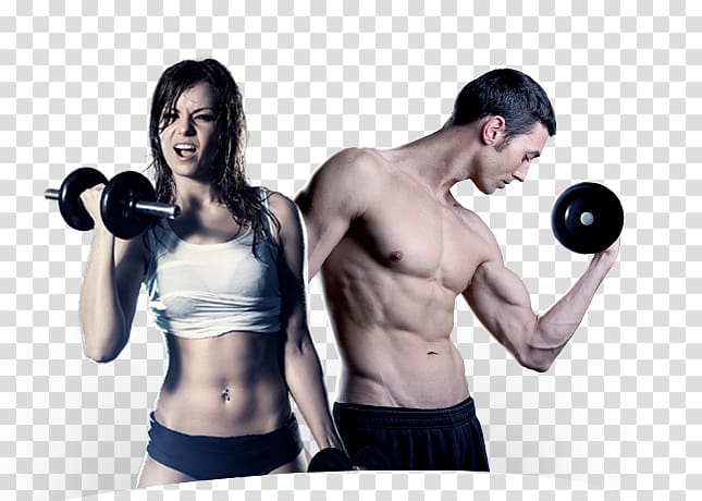 Man and woman doing workout, Physical fitness Physical exercise