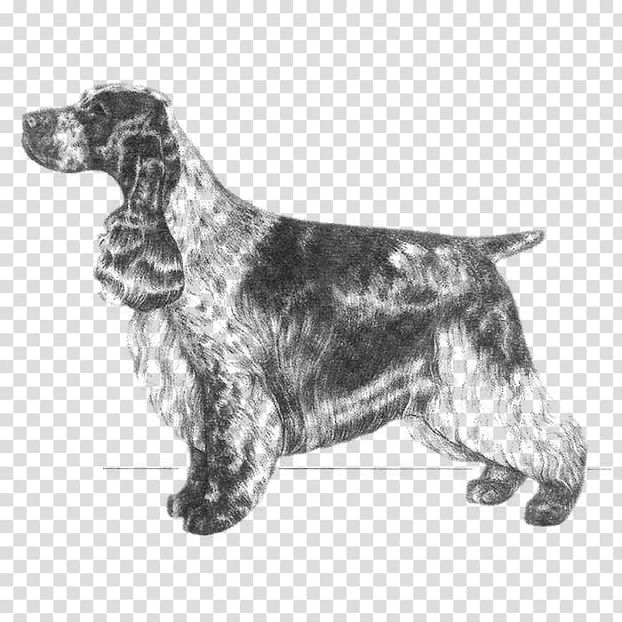 English Springer Spaniel Field Spaniel English Cocker Spaniel Russian Spaniel English Setter, others transparent background PNG clipart