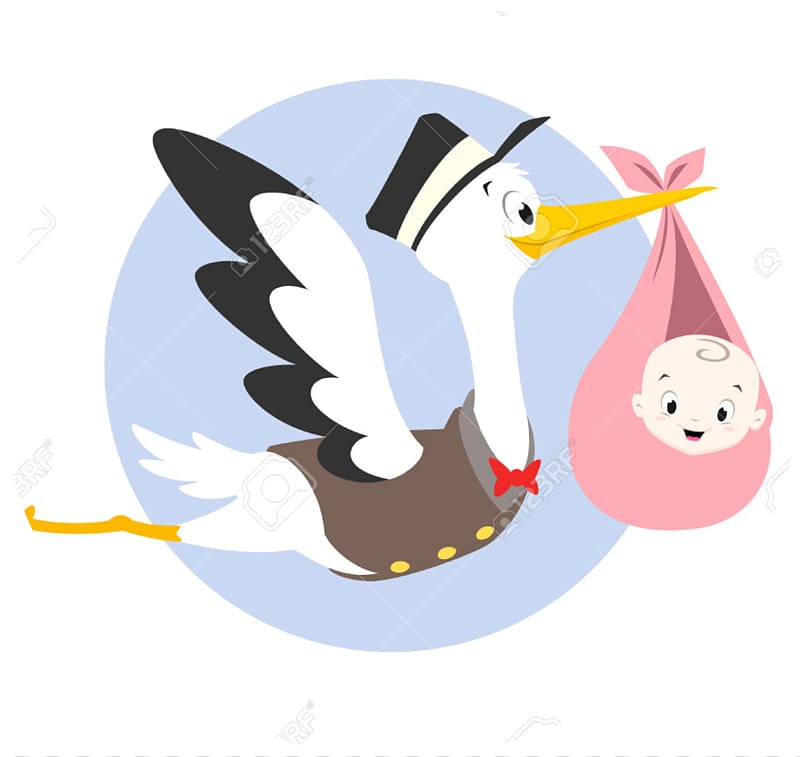 Infant Stork , stork transparent background PNG clipart