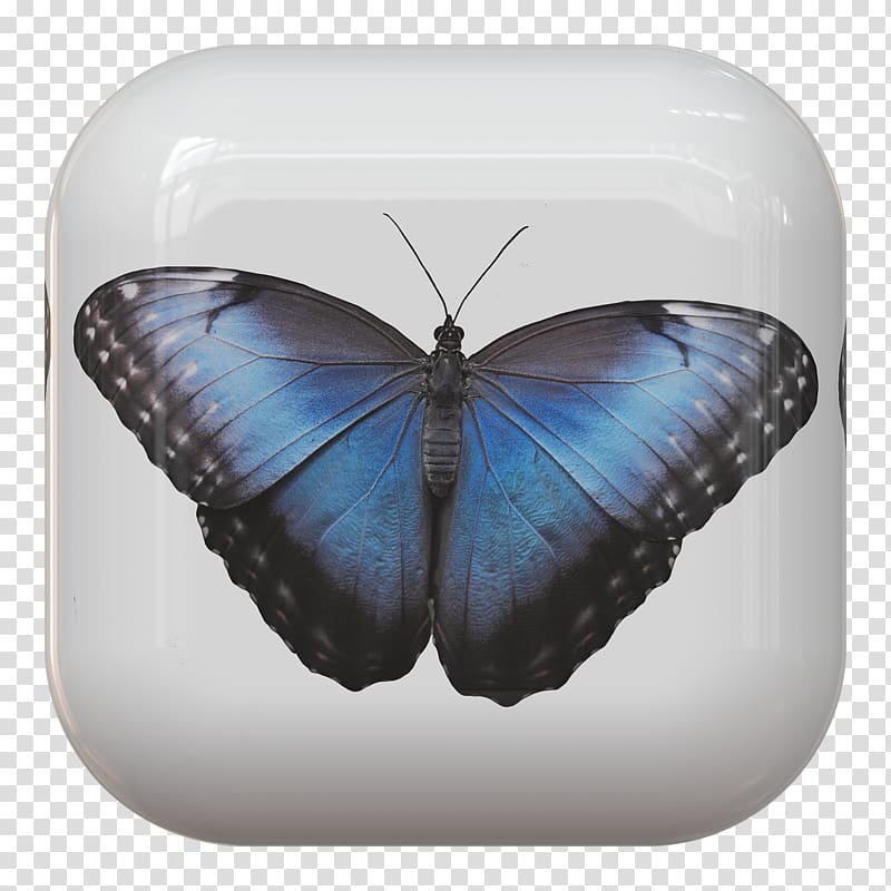 Nymphalidae Monarch butterfly Insect Papillon dog, butterfly transparent background PNG clipart