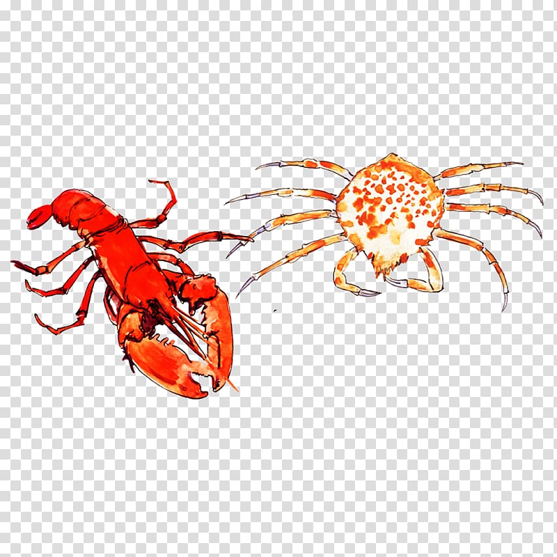 Crab Lobster Seafood Palinurus elephas, Painted lobster crab transparent background PNG clipart