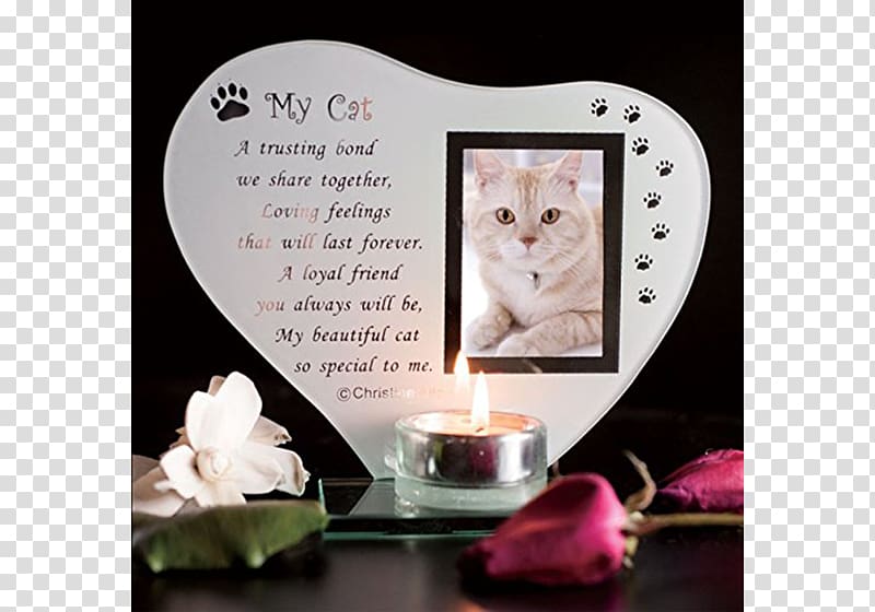 Frames Cat Glass Commemorative plaque Pet, Cat transparent background PNG clipart
