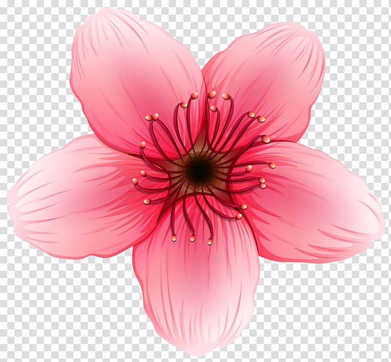 pink flower illustration, Flower , Flower transparent background PNG clipart