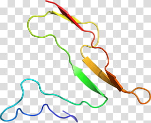 Line Point Organism , line transparent background PNG clipart thumbnail