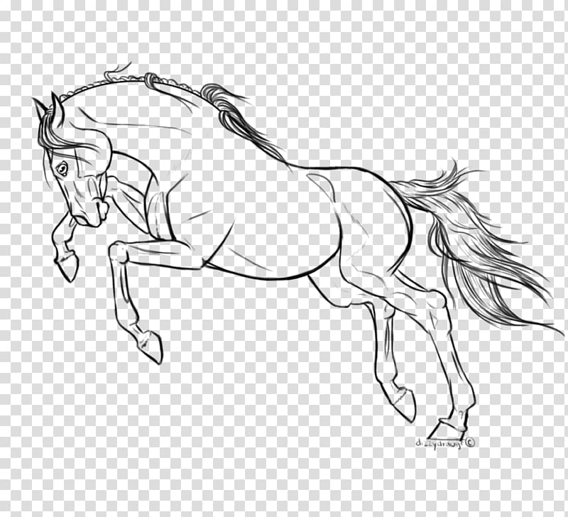 Line art Arabian horse Drawing Pony Stallion, parting line transparent background PNG clipart