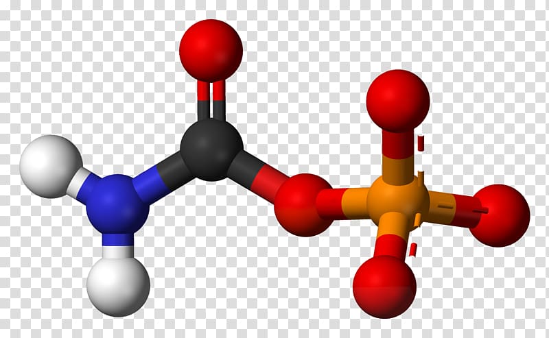 Carbonic acid Urea Carboxylic acid Carbamic acid, biochemical transparent background PNG clipart