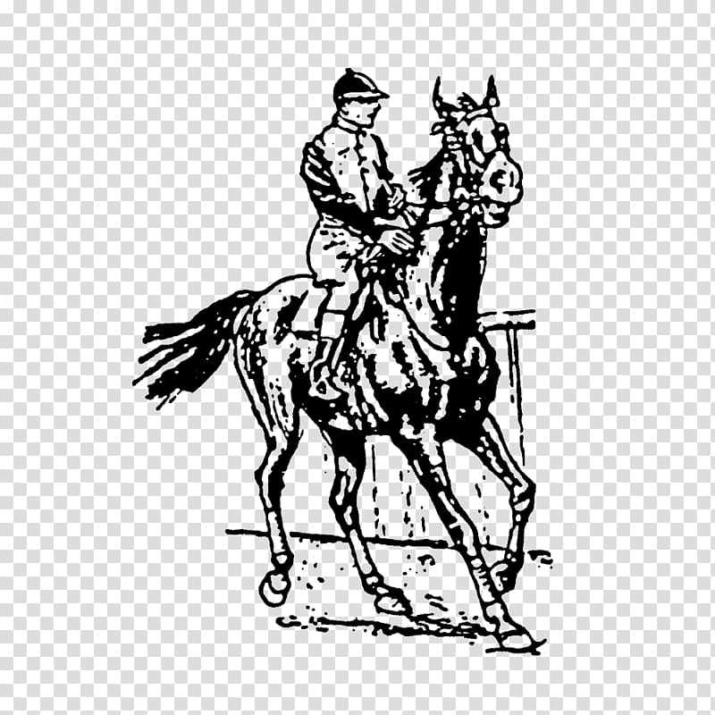 Mule Bridle Rubber stamp Horse Postage Stamps, rubber man transparent background PNG clipart