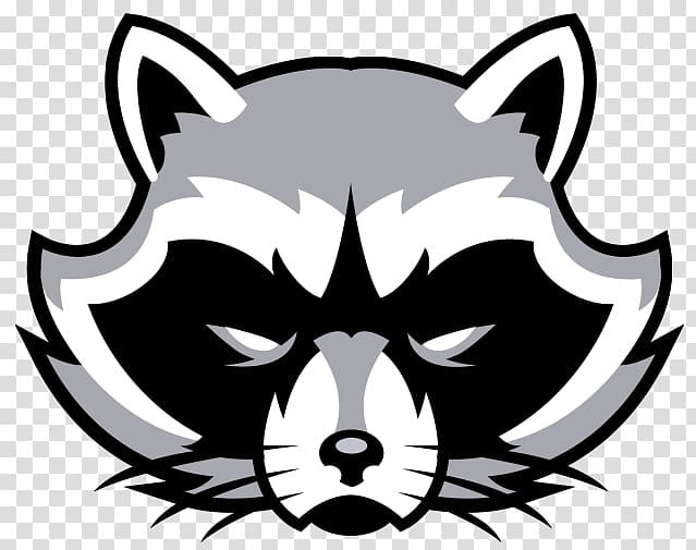 gray and white raccoon illustration, Frisco High School Raccoon National Secondary School Centennial High School, rocket raccoon transparent background PNG clipart