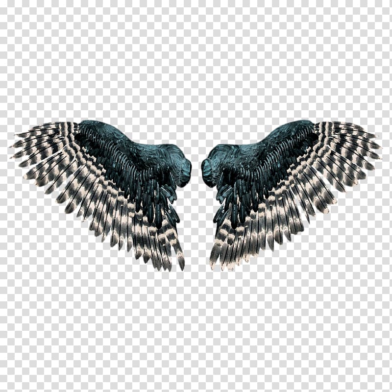 Wing , material transparent background PNG clipart