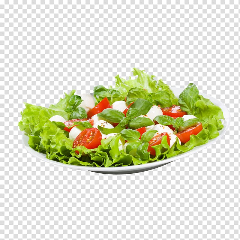 vegetable salad, Vinaigrette Pizza Salad Vinegar Chicken meat, salad transparent background PNG clipart