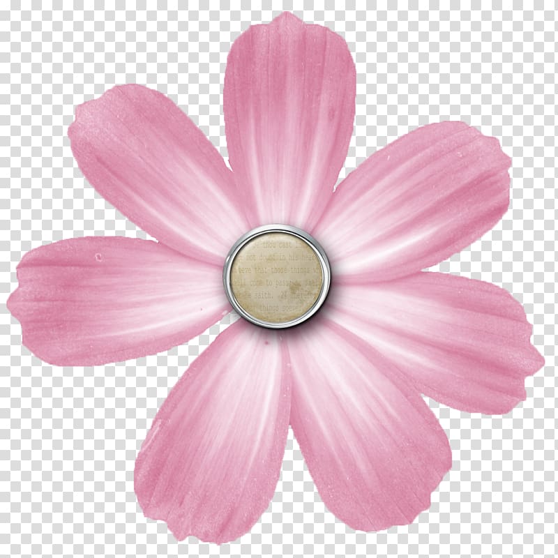 Digital scrapbooking Flower Teal Blue, forget me not transparent background PNG clipart