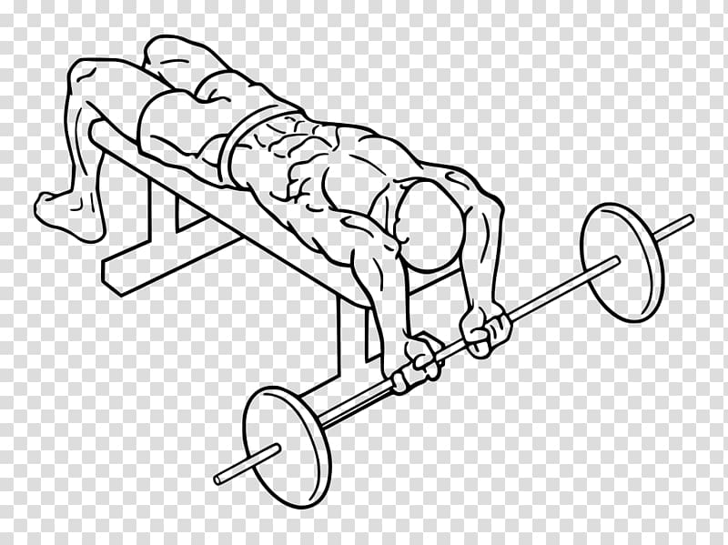 Bench press Fly Dumbbell Exercise, fly transparent background PNG clipart