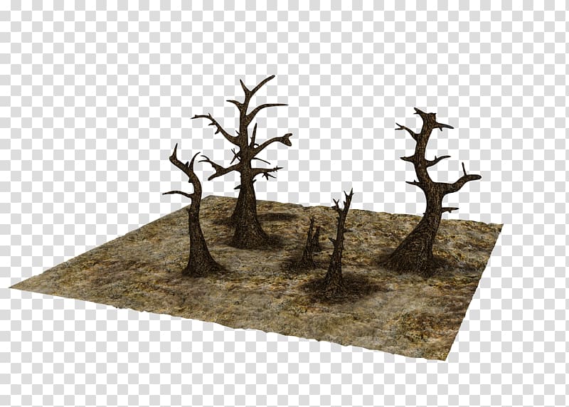 3D modeling /m/083vt 3D computer graphics, forest scenes transparent background PNG clipart