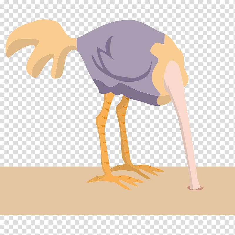 Common ostrich Bird Sand, Bird transparent background PNG clipart