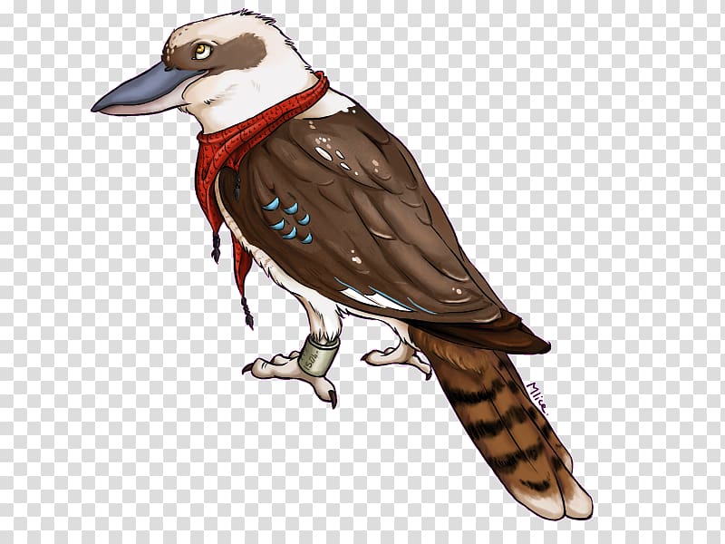 Drawing Kookaburra Art, painting transparent background PNG clipart